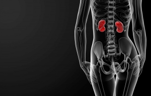 kidney woman